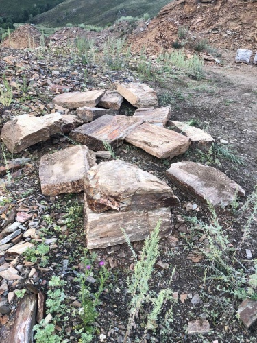 Плитняк кора дерева 50-100мм для пошаговых дорожек купить в Кирове